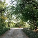 Quinta Da Donalda * 波尔蒂芒